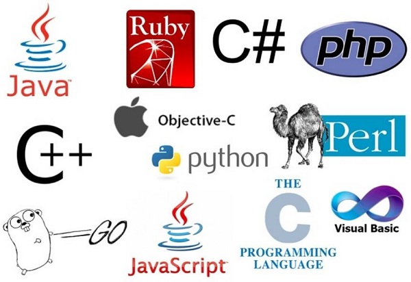 Các ngôn ngữ lập trình thường được sử dụng